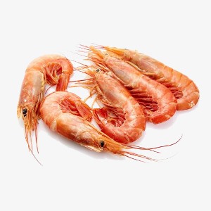 Gamba Argentina heel 10/20 - doos 2 kg